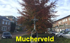 Mucherveld1